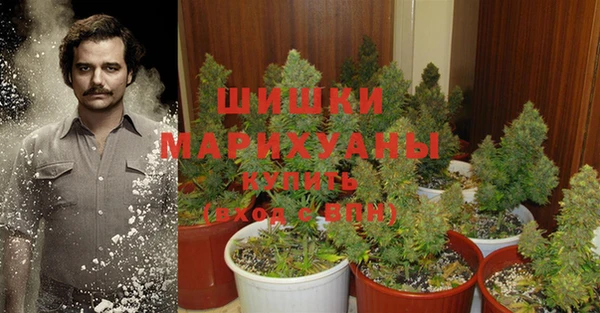 ПСИЛОЦИБИНОВЫЕ ГРИБЫ Богданович