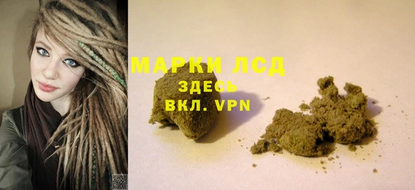 ПСИЛОЦИБИНОВЫЕ ГРИБЫ Богданович