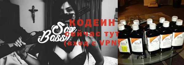 бошки Бородино
