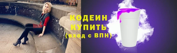 ПСИЛОЦИБИНОВЫЕ ГРИБЫ Богданович