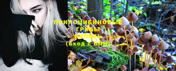бошки Бугульма