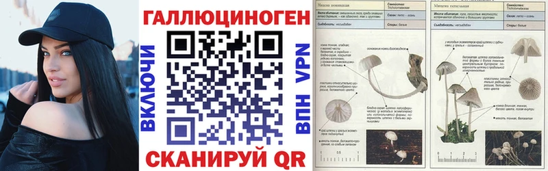 Псилоцибиновые грибы MAGIC MUSHROOMS  продажа наркотиков  Минеральные Воды 