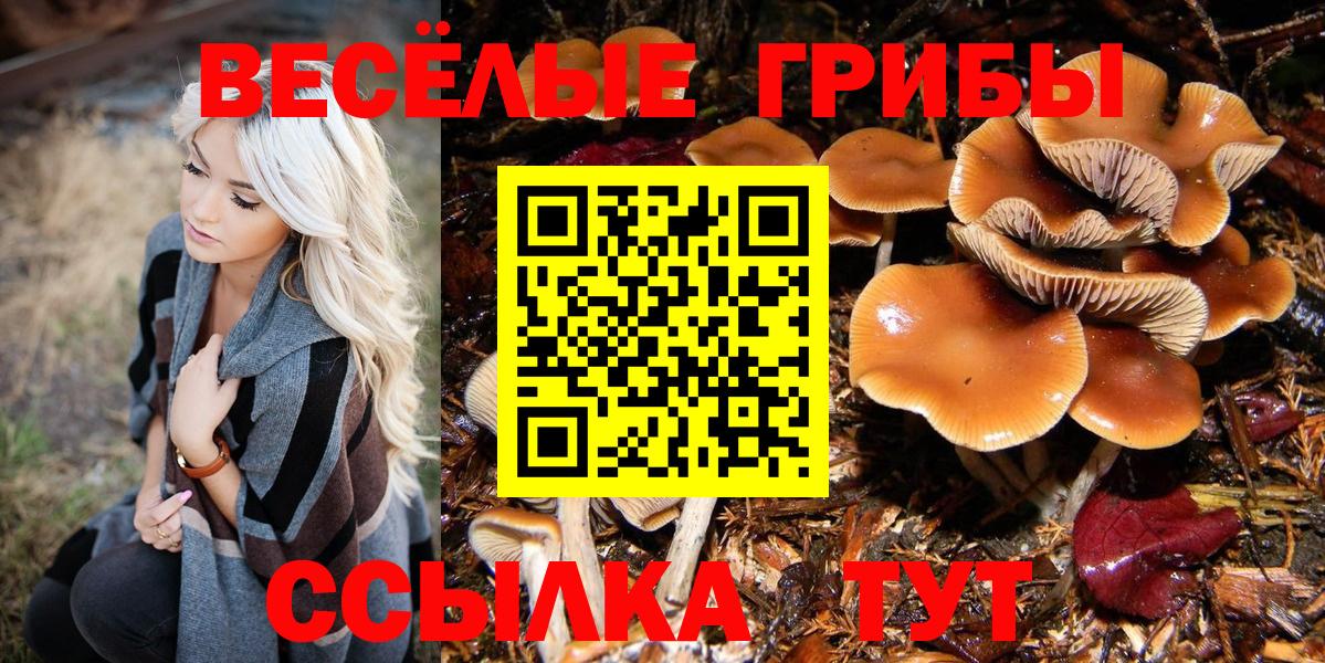 Минеральные Воды  Галлюциногенные грибы мицелий  Вход с VPN 