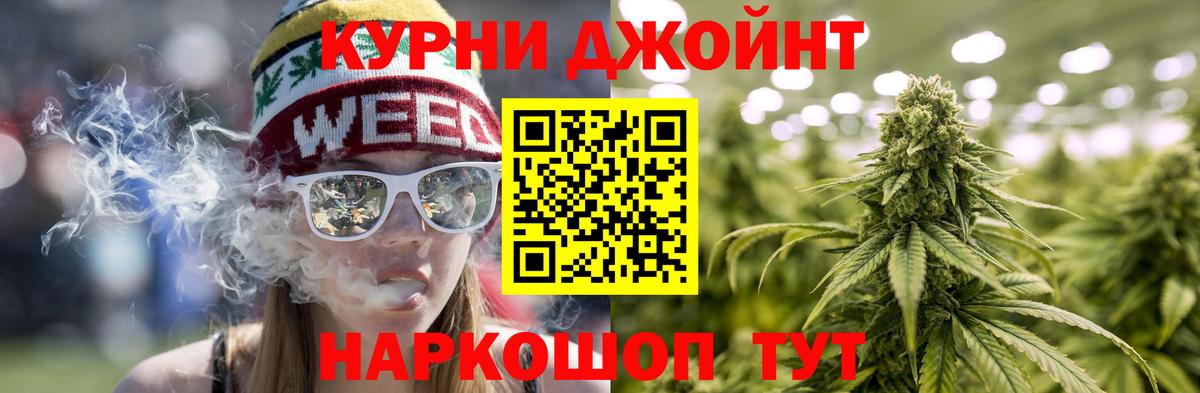 Каннабис планчик Минеральные Воды